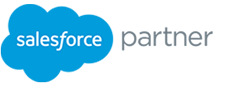 Salesforce partner